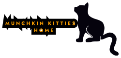 munchkinkitties.com